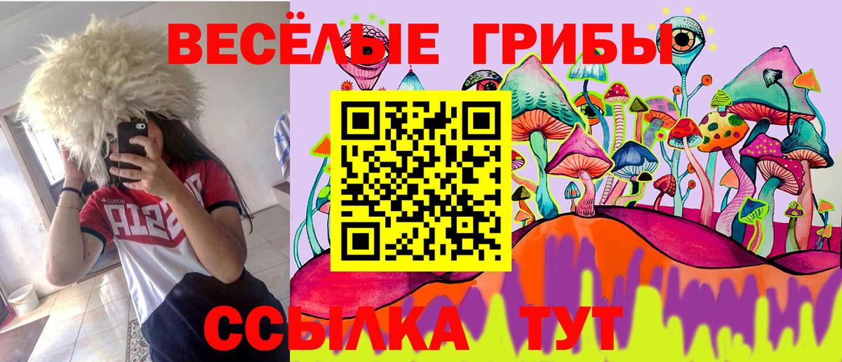 Назарово  магазин продажи наркотиков  Галлюциногенные грибы мицелий  Вход с VPN  Псилоцибиновые грибы Cubensis 
