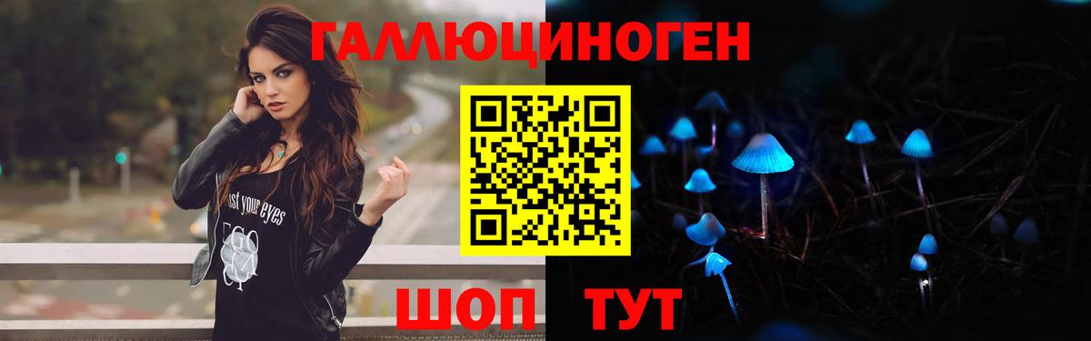 Псилоцибиновые грибы Cubensis Назарово